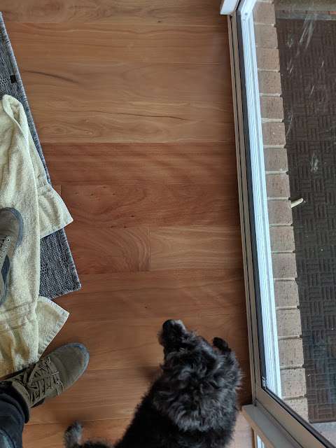 Engineered Brushbox completed flooring project