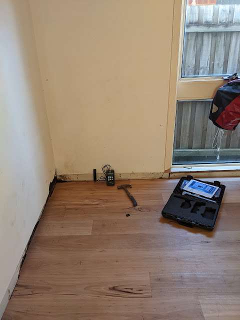 Rustic Blackbutt · Impact Oil project photo 12