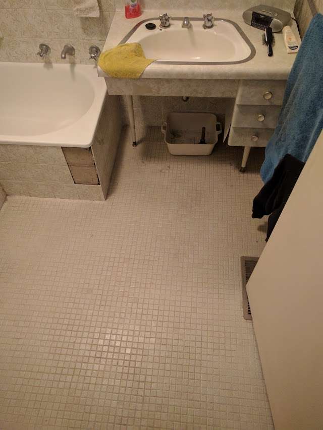 Knight Tiles & Lemon Spotted Gum project photo 3