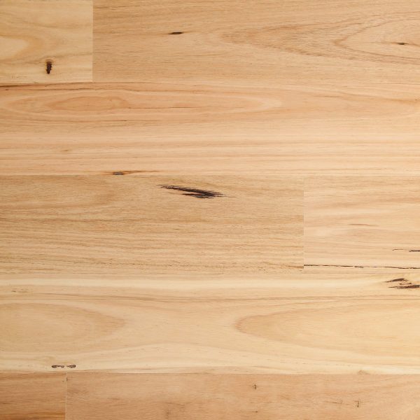 Blackbutt Matte Brushed 180mm-wide Australian hardwood flooring close-up