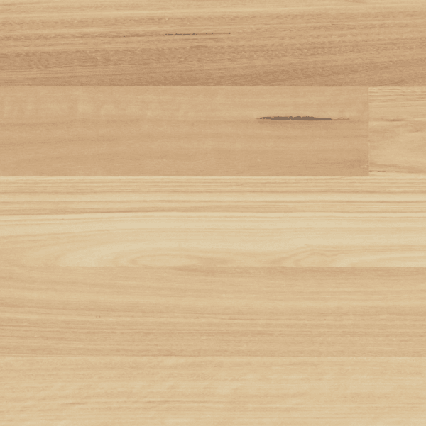 Blackbutt / Smooth engineered timber flooring