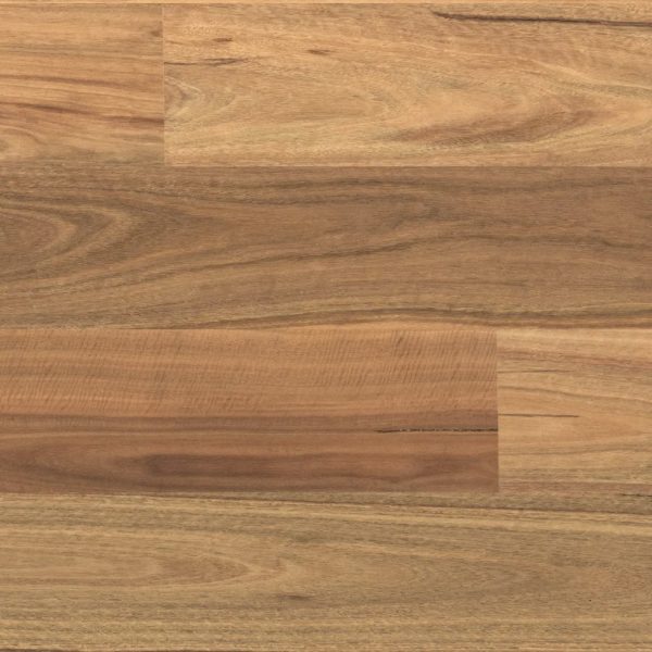 Spotted Gum / Smooth engineered timber flooring