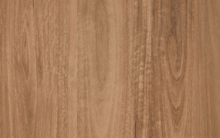 Saddleback Spotted Gum Tahoma vinyl plank surface texture